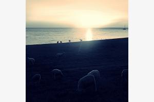 Abendlicht Abendlicht