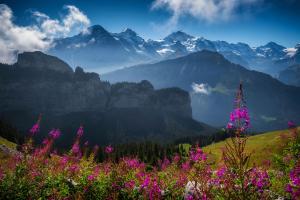 Sommer in der Jungfrau Region