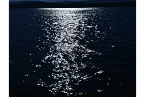 Im Gegenlicht