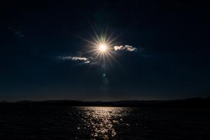 Sommer im Gegenlicht