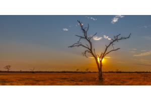 Sonnenuntergang in Botswana