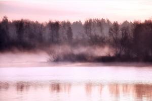 Stille