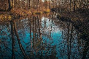 Stille Wasser Stille Wasser