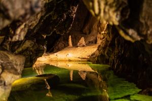 In der Stille der Höhle In der Stille der Höhle