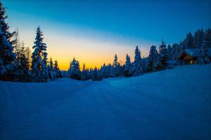A cold day awakens A cold day awakens