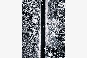 Winter Road