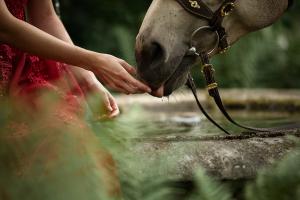 Tender Touch