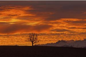 Morgenrot Morgenrot