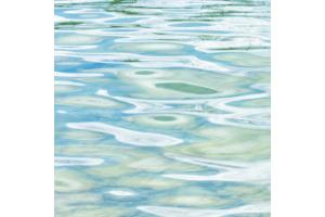 Wasser