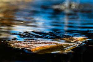 Wasser