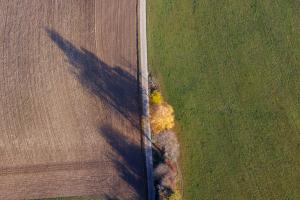 Schatten und Muster Schatten und Muster