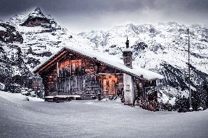 Winter Wonderland
