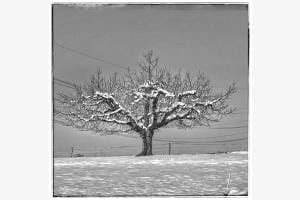 Iam cold