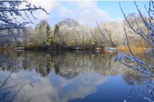 Winterliche Stille