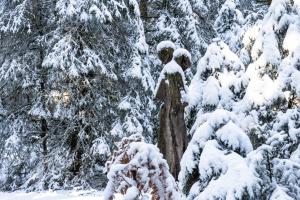 Winterzauberwald