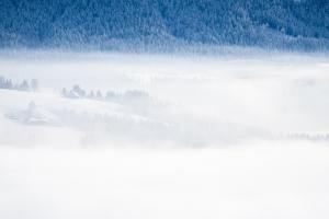 Winterzwuber