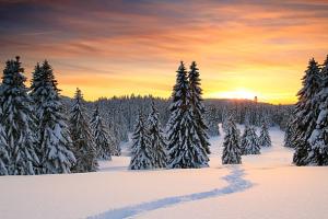 Sonnenuntergang im Juragebirge, Region "La Givrine"