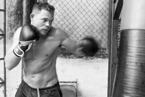 Boxer