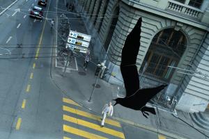 Bird Of Prey