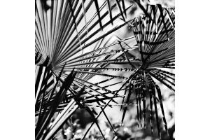 Mediterrane Muster