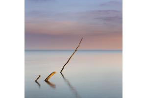 Naturkunst