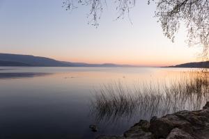 Morgen am See
