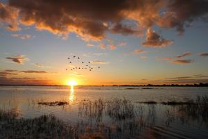 African Sunset