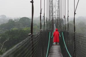 Brücke im Regenwald von Ecuador