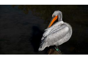 TIERPARK BERN TIERPARK BERN
