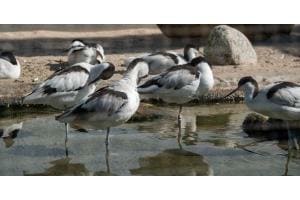 TIERPARK BERN TIERPARK BERN