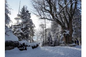Weihnachtsweg Heiligenschwendi