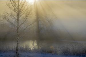 Frostiger Morgen Frostiger Morgen