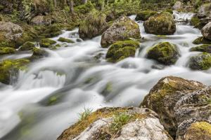 Alles im (F)fluss