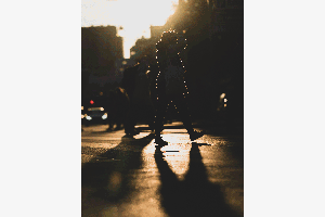 Golden Silhouette
