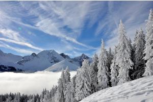 Winterlandschaft, Gurnigel