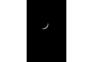 Moon Moon