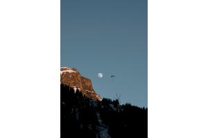 Flying to the Moon