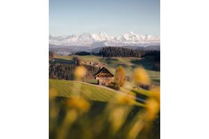 Frühlingszauber im Emmental