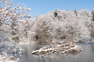 am Sängeliweiher