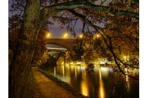 Golden night Golden night