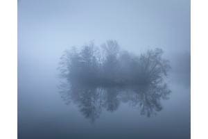 morgendliche Herbststimmung an der Aare 