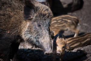 Mutter und Tochter