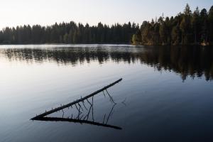 Am Moorsee Am Moorsee