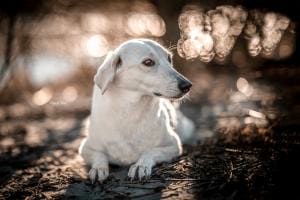 Sonne ist zurück Sonne ist zurück