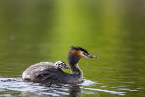 Familienausflug