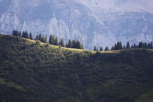 Sommerische Aussicht