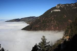 Nebelmeer