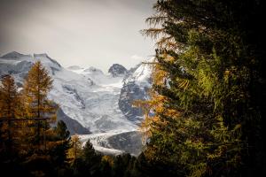 Morteratsch Gletscher