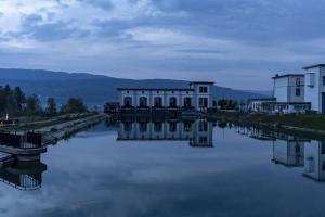 Reflection