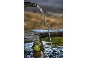 wasser